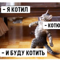 AsciugaMan 👊